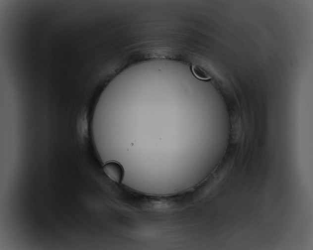 X0000100340310200806191030