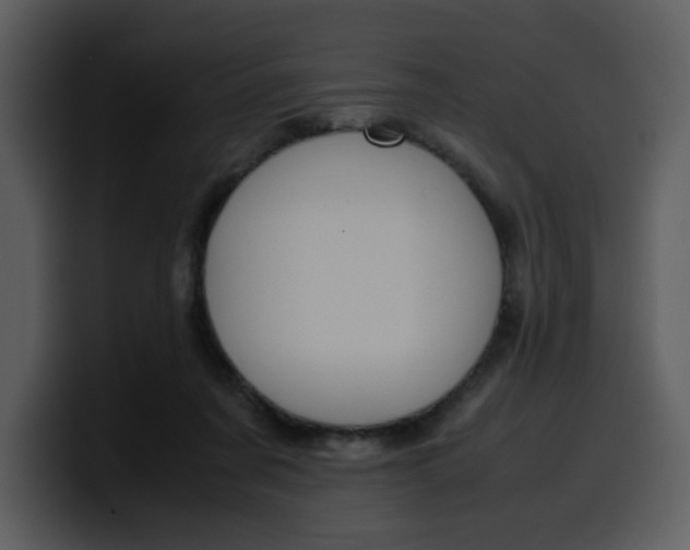 X0000100340311200806191030