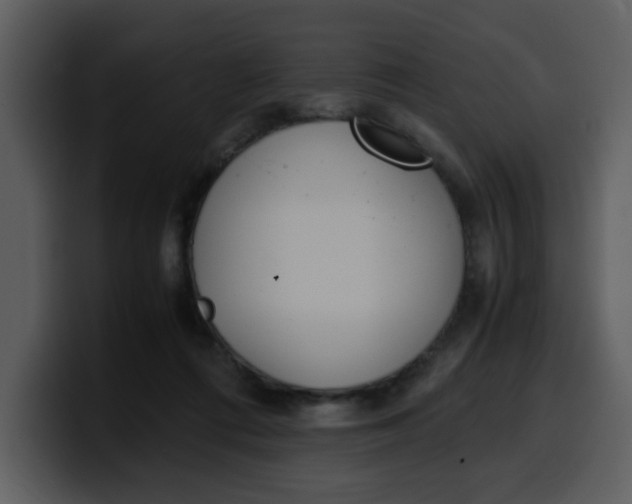 X0000100340312200806191030