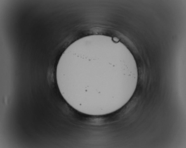 X0000100340313200806191030