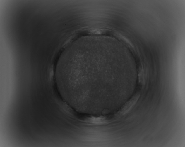 X0000100340314200806191030