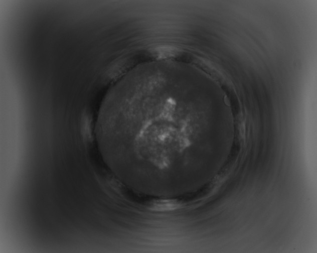 X0000100340316200806191030