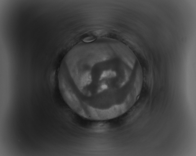 X0000100340319200806191030