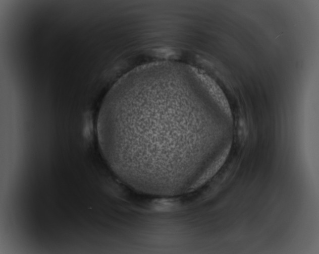 X0000100340320200806191030