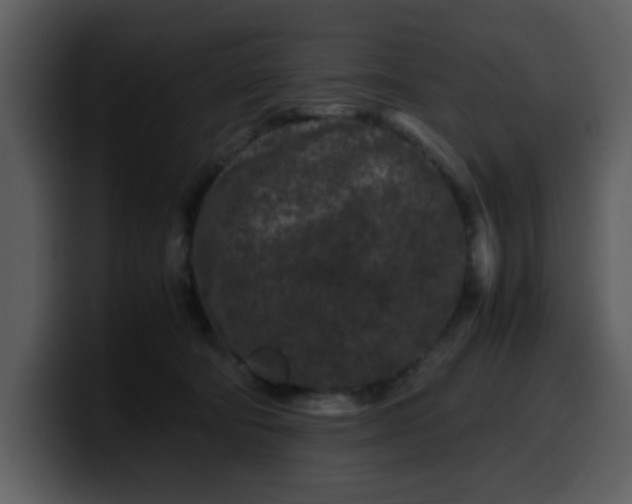 X0000100340322200806191030