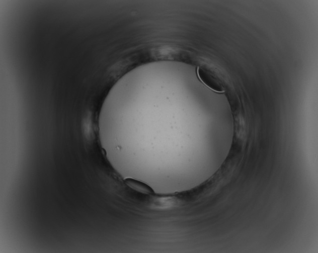 X0000100340324200806191030