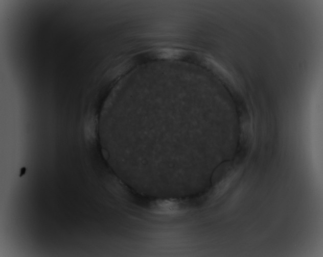 X0000100340325200806191030