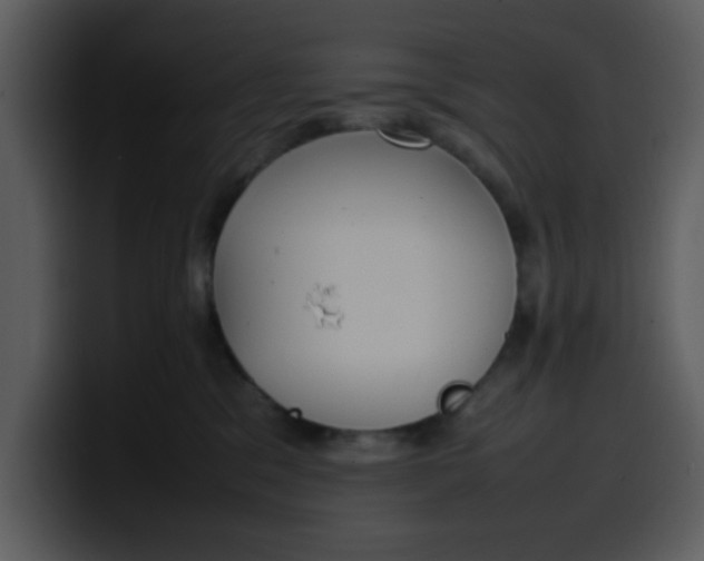 X0000100340329200806191029