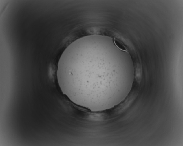 X0000100340332200806191029