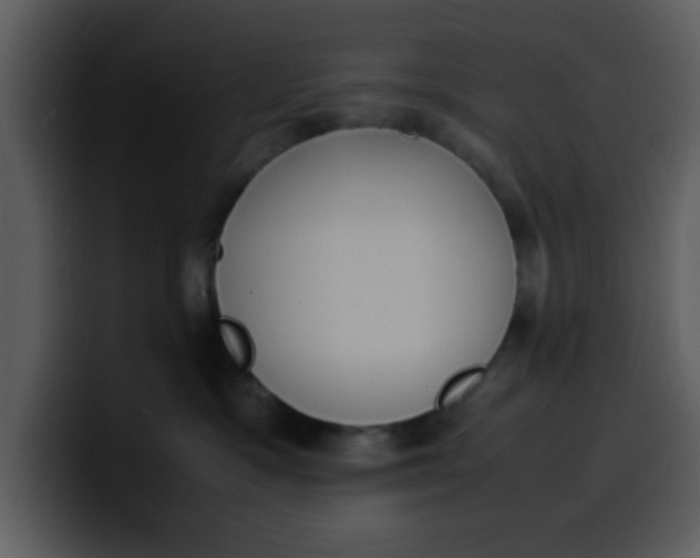 X0000100340333200806191029