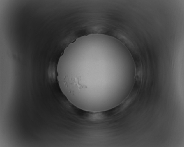 X0000100340334200806191029