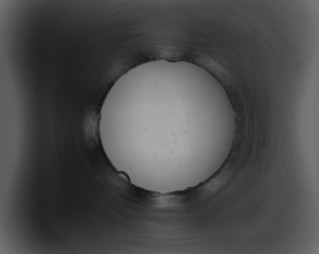 X0000100340336200806191029