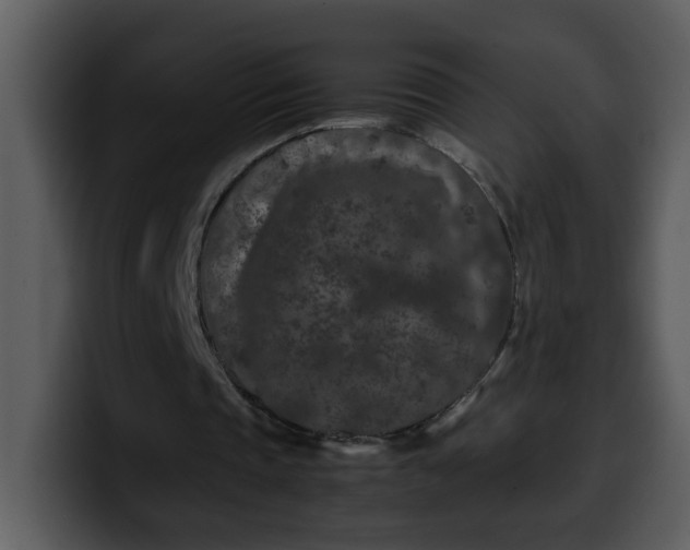 X0000100340337200806191029