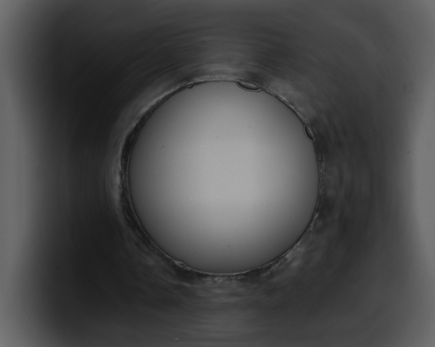 X0000100340338200806191029