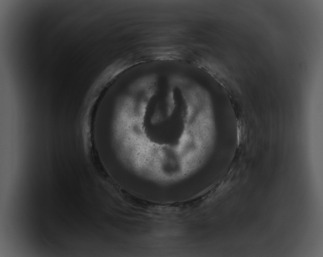 X0000100340339200806191029