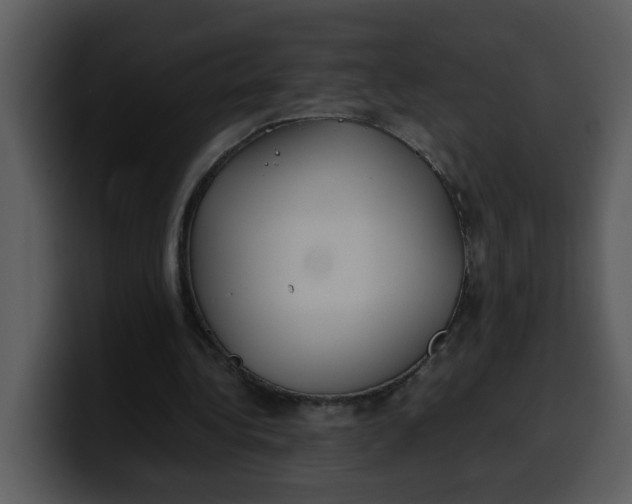 X0000100340340200806191029