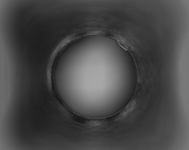 X0000100340341200806191029