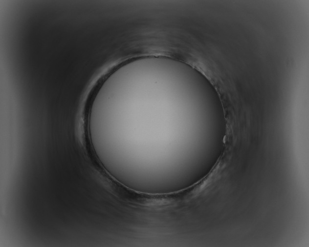 X0000100340342200806191029