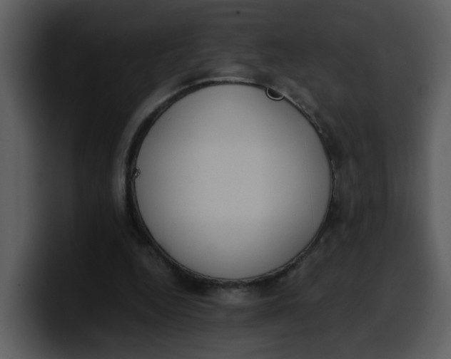 X0000100340344200806191029