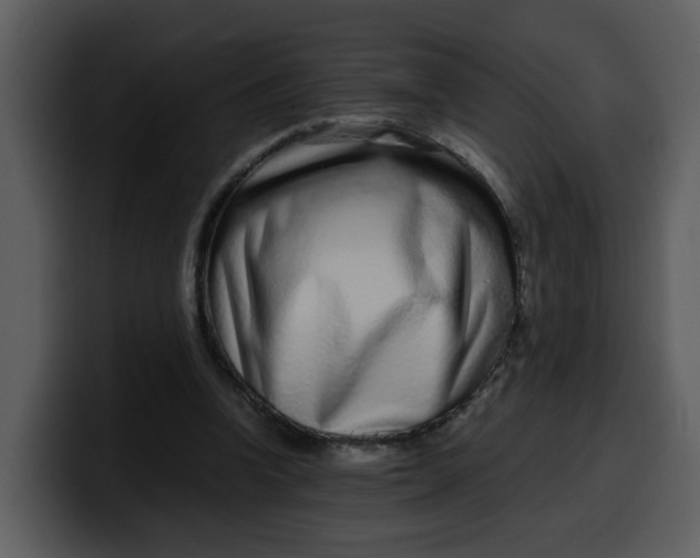 X0000100340346200806191029