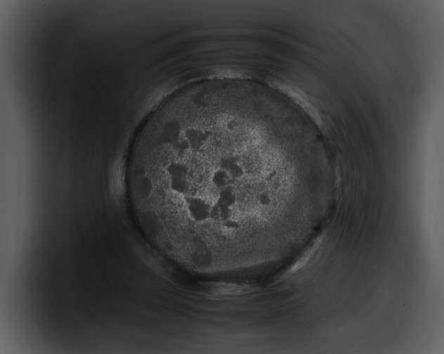 X0000100340347200806191029