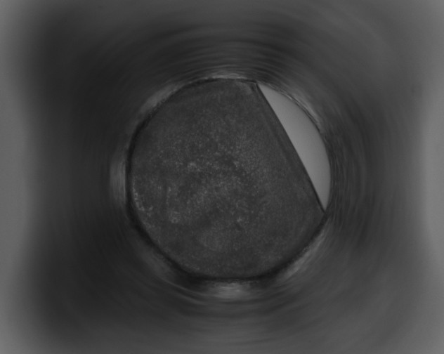 X0000100340349200806191029