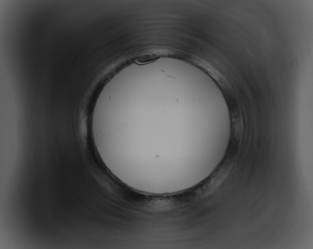 X0000100340350200806191029