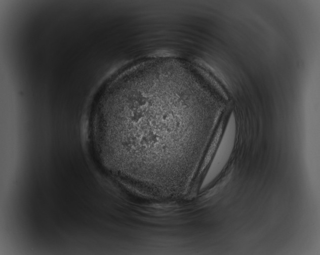 X0000100340351200806191029