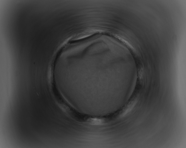 X0000100340352200806191029