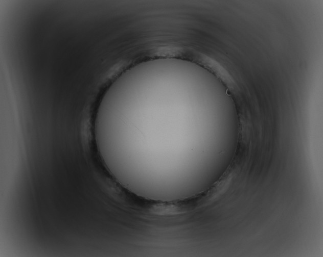 X0000100340354200806191029