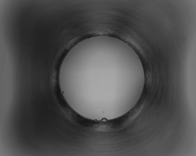 X0000100340356200806191029