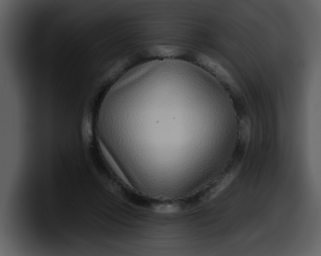 X0000100340358200806191029