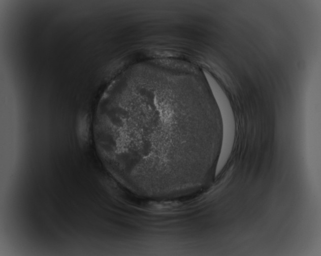 X0000100340359200806191029