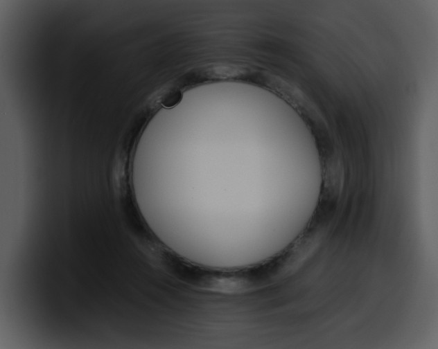 X0000100340360200806191029