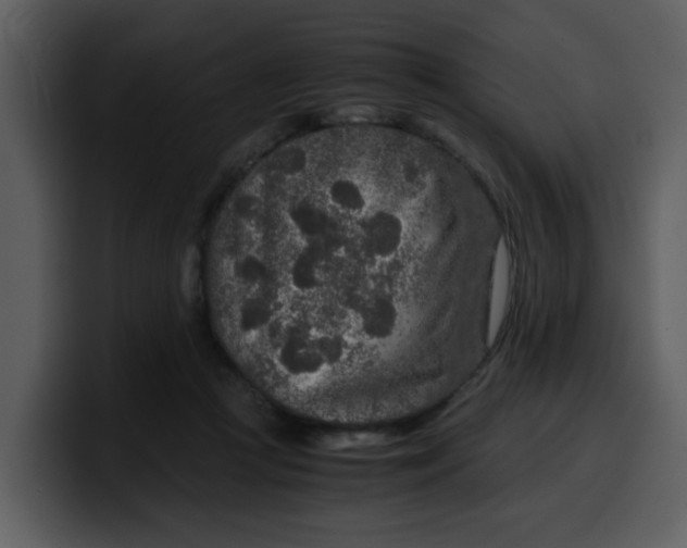 X0000100340361200806191029