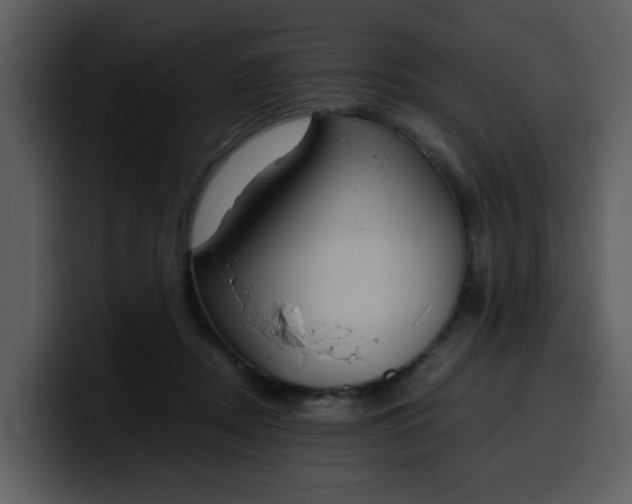 X0000100340362200806191029