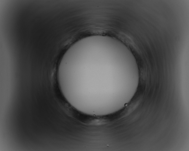 X0000100340364200806191029