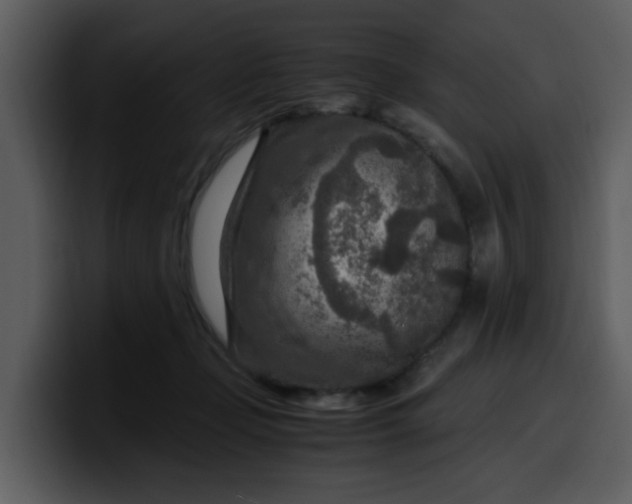 X0000100340365200806191029