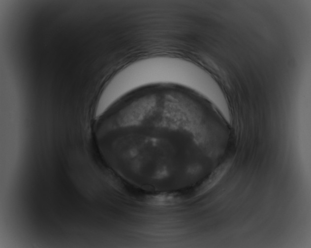 X0000100340366200806191029