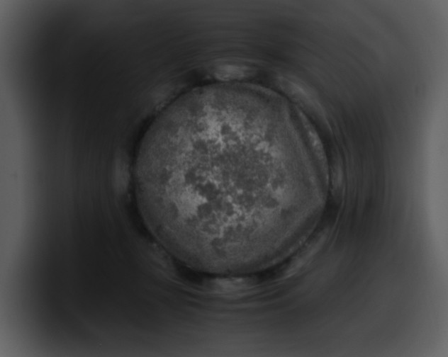 X0000100340367200806191029