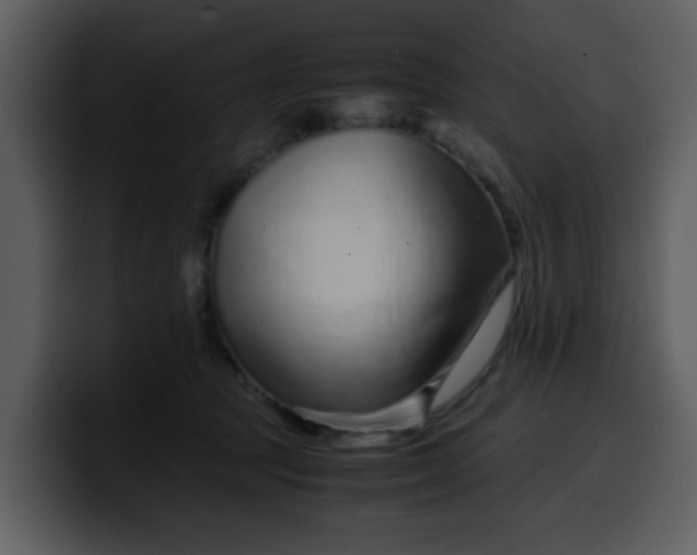 X0000100340369200806191029