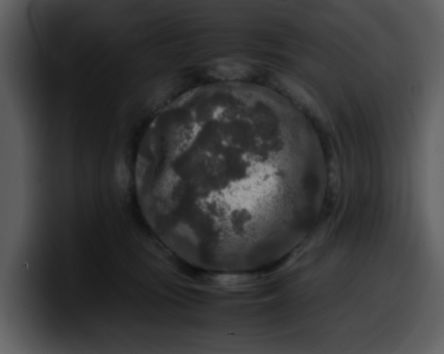 X0000100340371200806191029