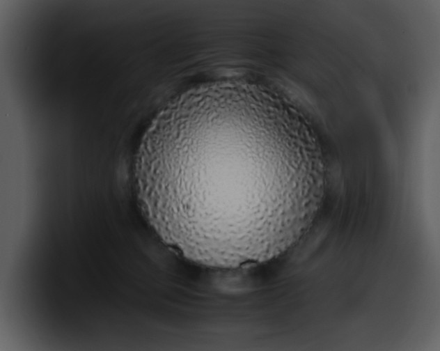 X0000100340373200806191029