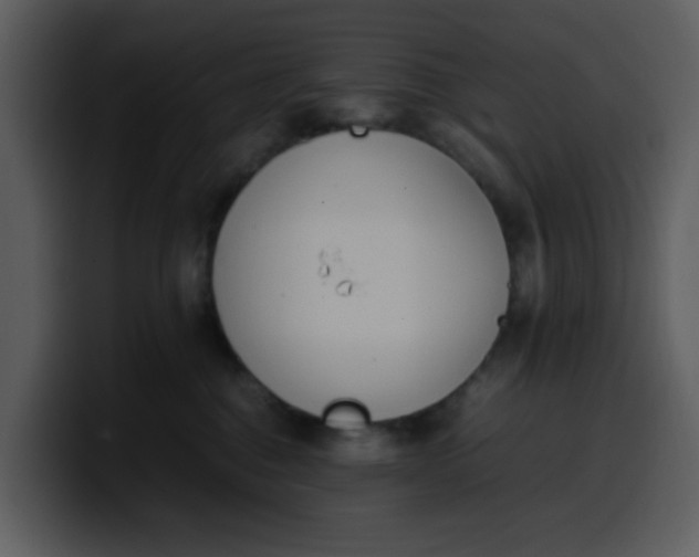 X0000100340376200806191029