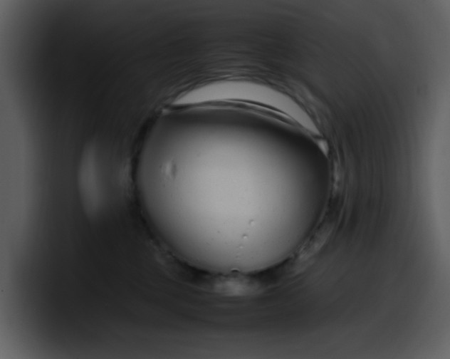 X0000100340377200806191029