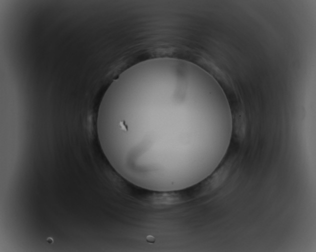 X0000100340378200806191029