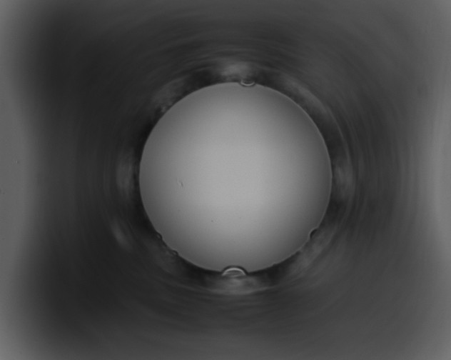 X0000100340379200806191029