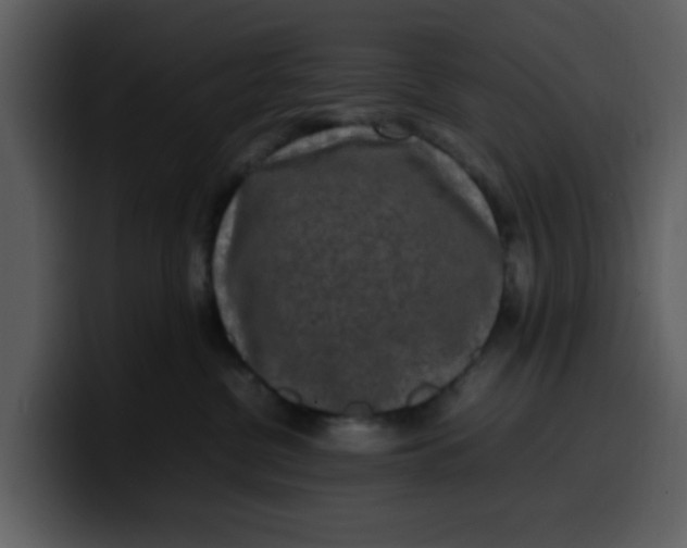 X0000100340380200806191029