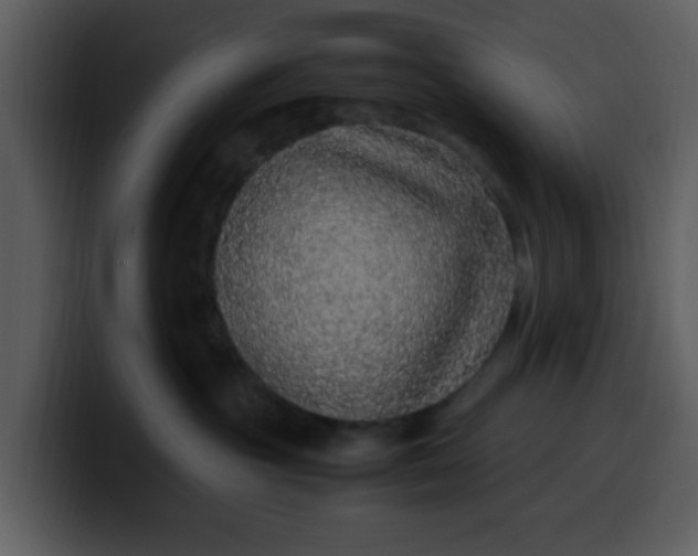 X0000100340381200806191029