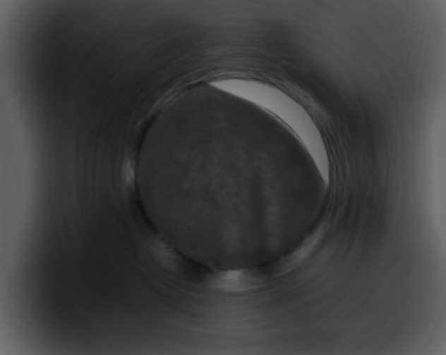 X0000100340382200806191029